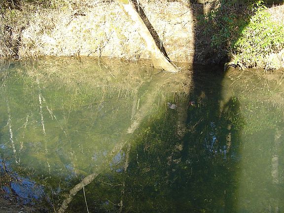 appr. 200ft of creek frontage and view