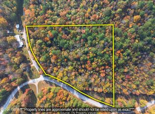 312 Beech Ridge Rd, Parsons, TN 38363