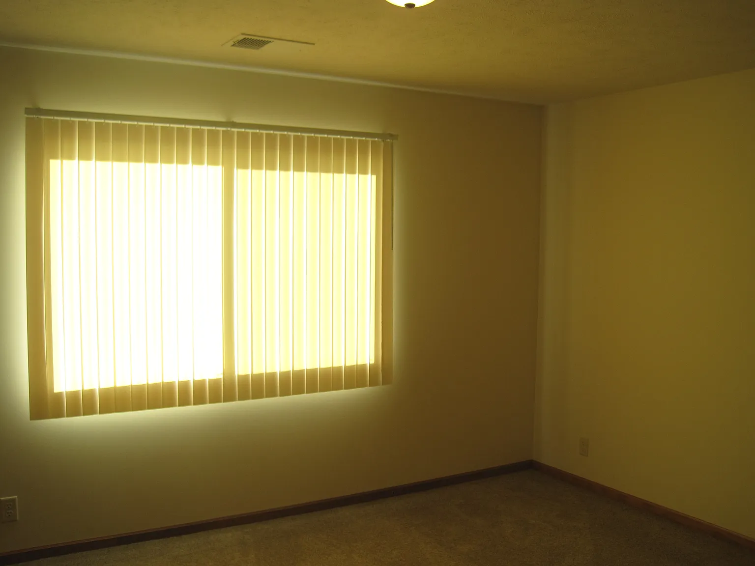 The Villa — Photo 4