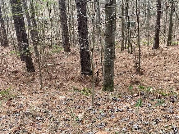 5th image of 1415 Sloan Gap Rd