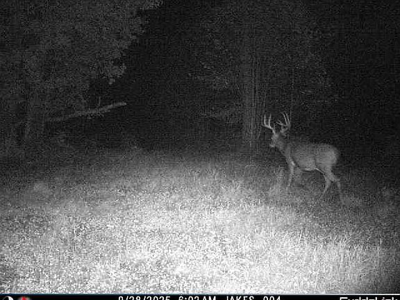 5th image of 4473 Hamilton Dr