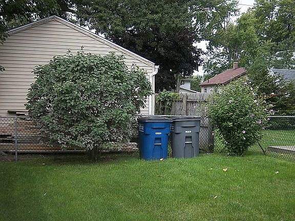 back yard