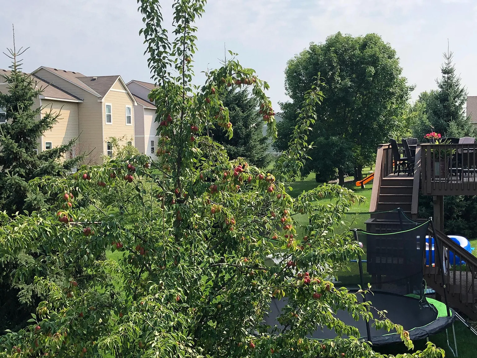 6 bed, 3.5 bath, 2500 sqft, $3,300 — Photo 4