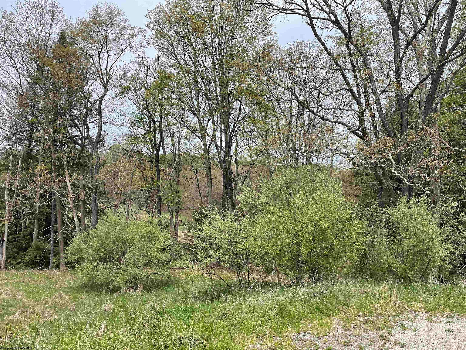 Lots 29 & 30 Snowy Creek St, Terra Alta, WV 26764 MLS 10141622 Zillow