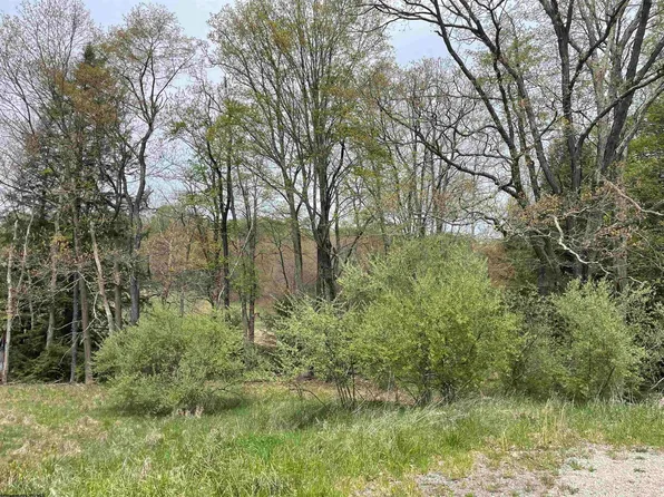 Lots 29 & 30 Snowy Creek St, Terra Alta, WV 26764