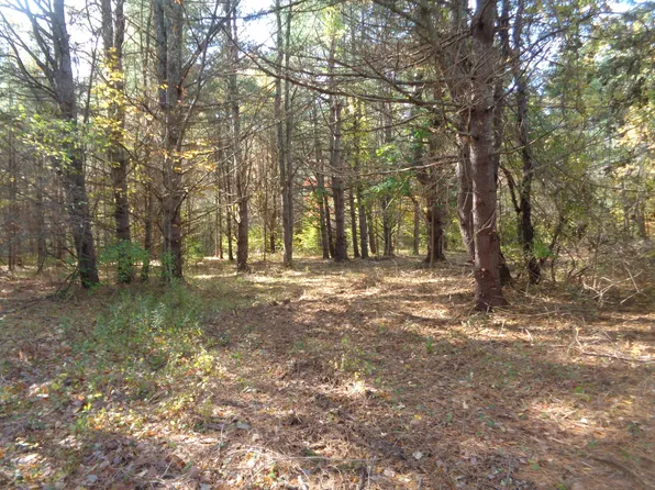 lot# off Lower Main Street, North Berwick, ME 03906