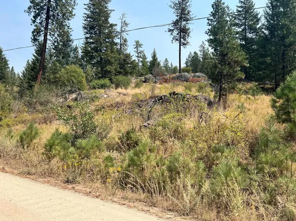 5687X Corkscrew Canyon Rd, Tumtum, WA 99034