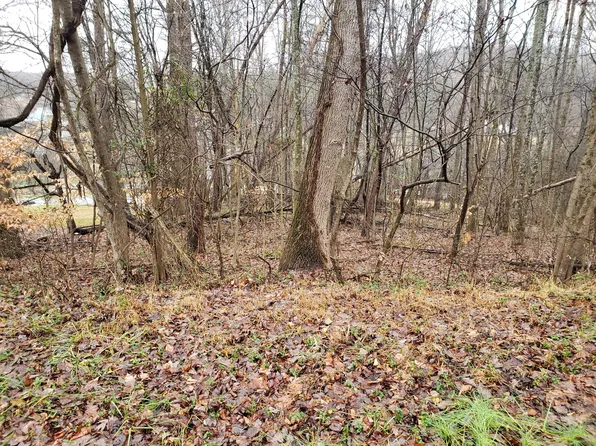 Kinkead Ave, Church Hill, TN 37642