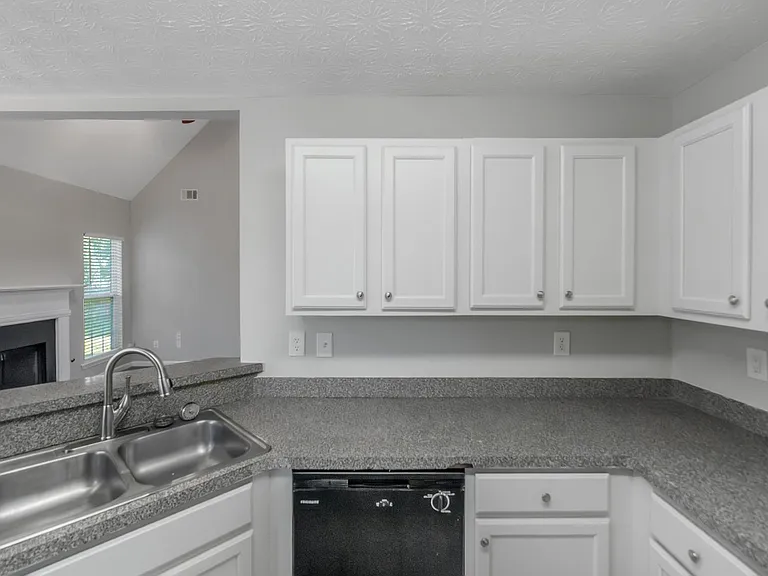 742 White Dove Dr — Photo 11