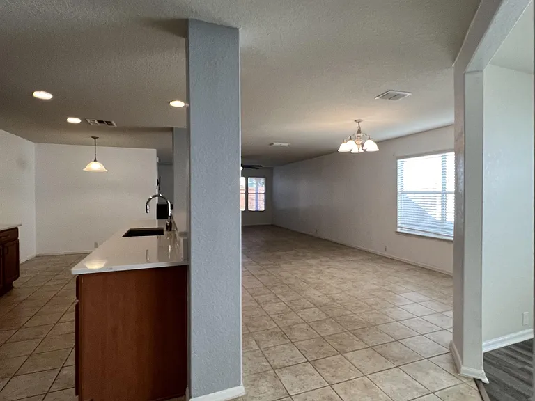 10909 Charreada Trl — Photo 6