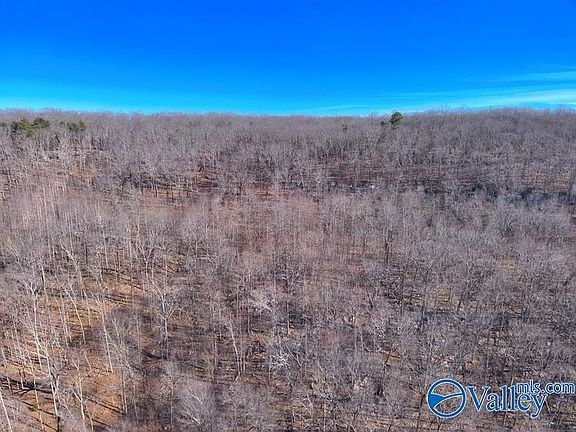 3rd image of 45/ACRE S Shooting Star Trl