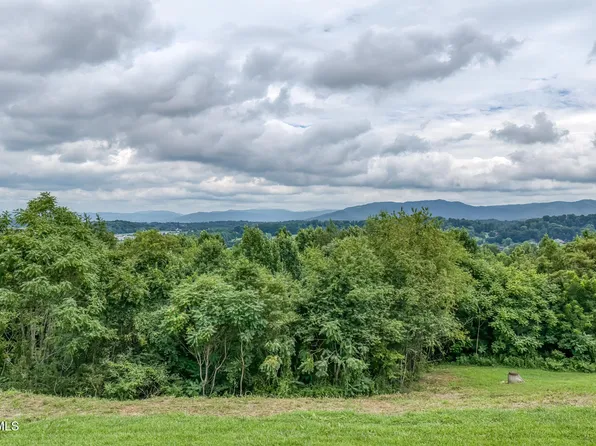 119 Simmons Rdg, Johnson City, TN 37604