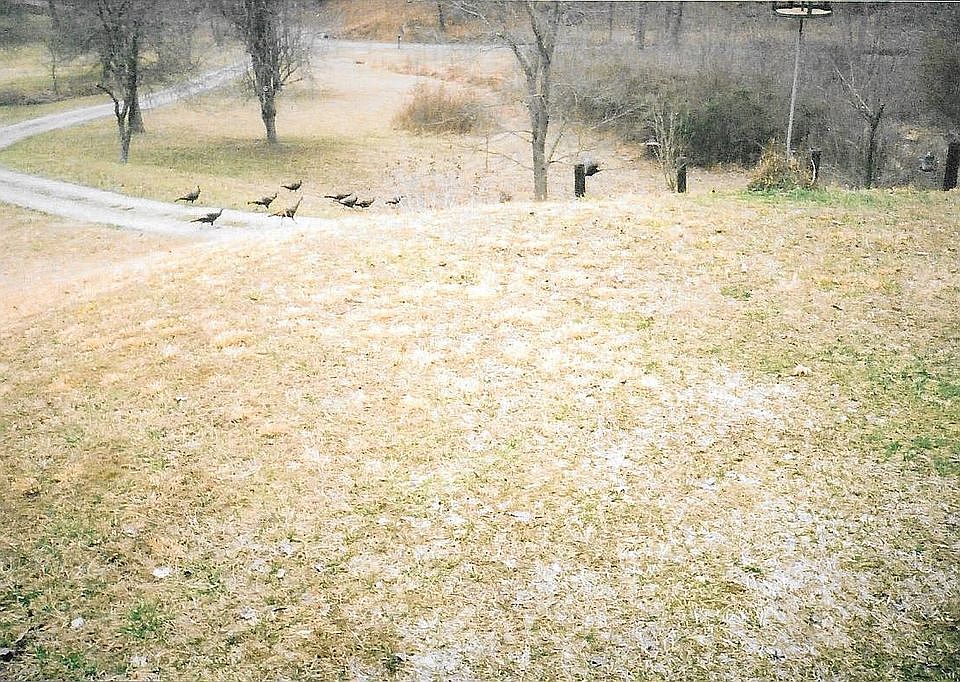 572 Sugar Camp Rd, Barbourville, KY 40906 Zillow