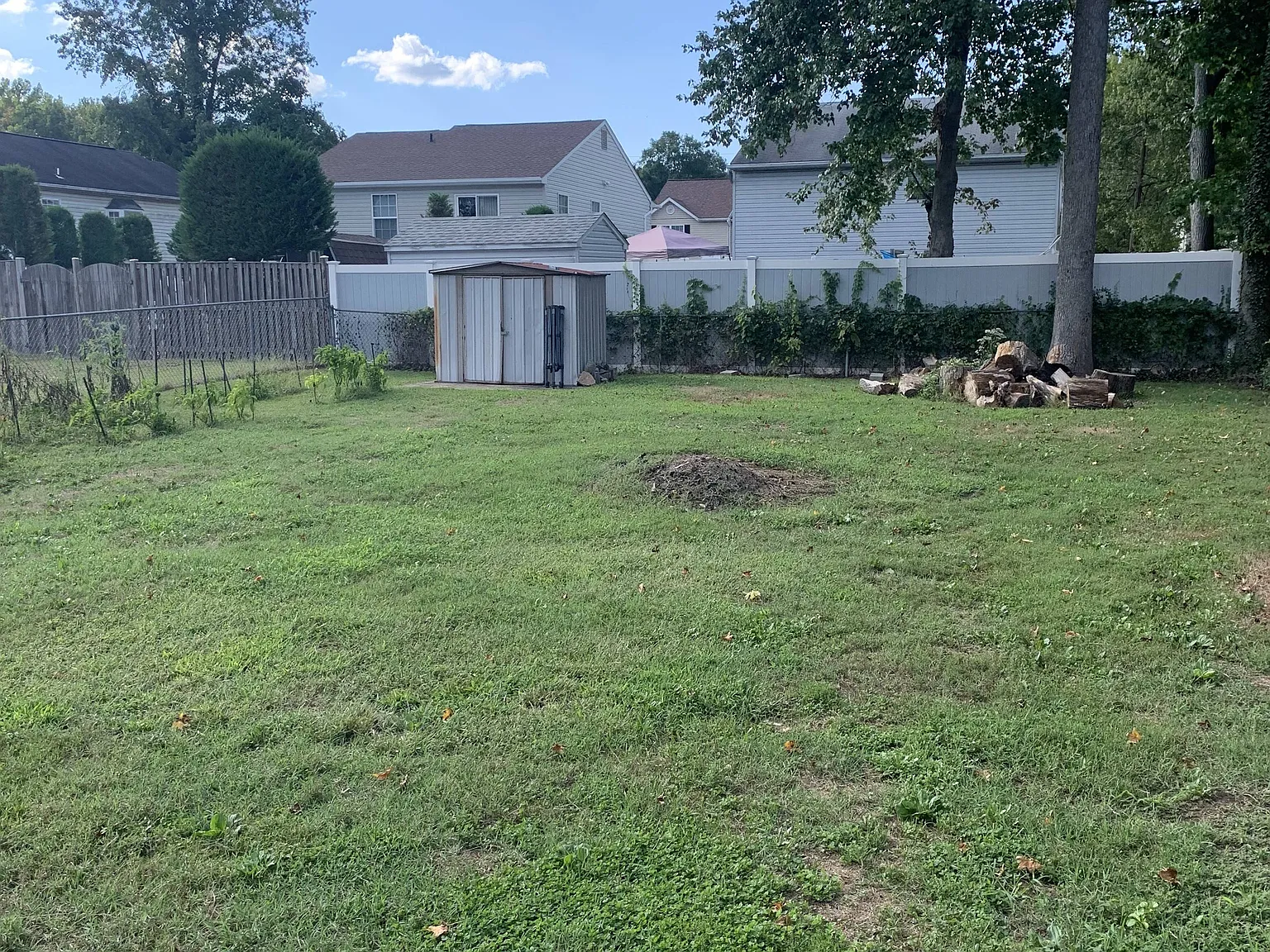 Available Now - 2 Bedroom 1 Bath - Fenced Yard — Photo 2