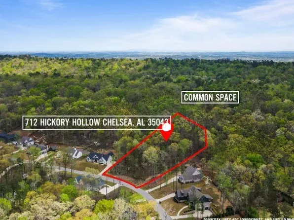 712 Hickory Holw #17, Chelsea, AL 35043