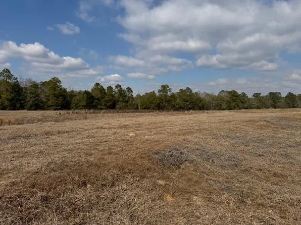 0 County Road 6, Black, AL 36314
