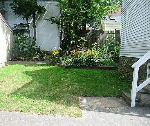 Back yard