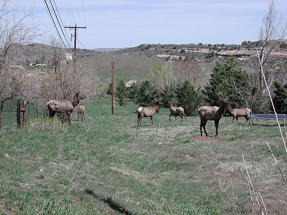 Best of nature, but close to shopping
