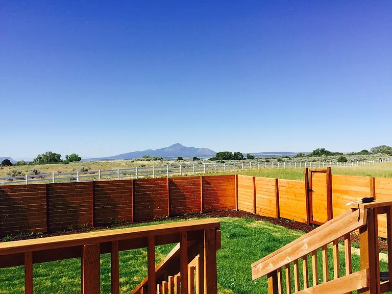 Fenced yard