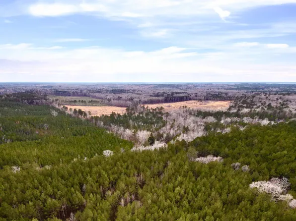 0 Pea Ridge Rd, Harrisville, MS 39082