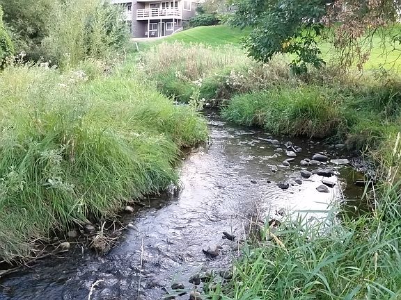 Spring Creek on Property