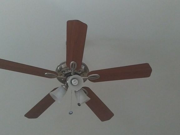 3rd image of 4620 Possum Berry Ln