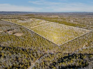 500 Painter Rd, Branson, MO 65616