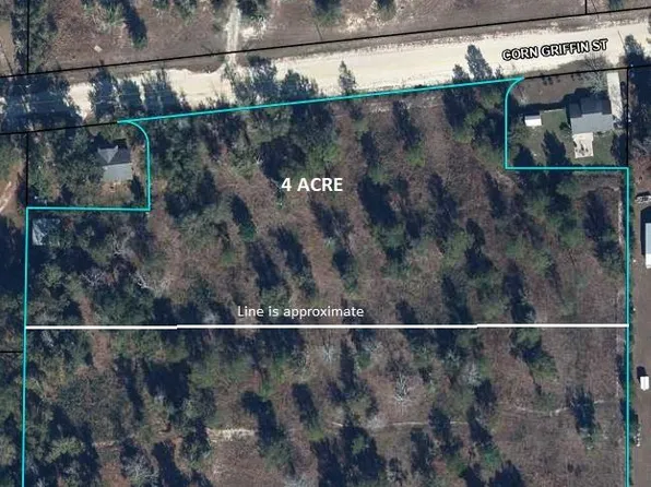 0 Corn Griffin St, Wewahitchka, FL 32465