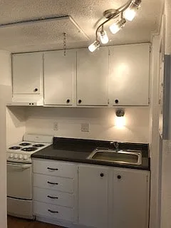 Floor plan Cottages - Studio DX
