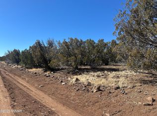 19 County Road 8230, Concho, AZ 85924