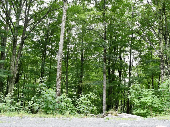 234 Wild Daisy Ln #C-563, Banner Elk, NC 28604