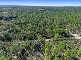 0 SW 103rd Ln, Dunnellon, FL 34432