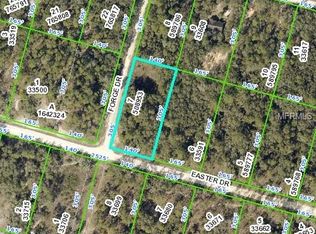 6302 Forge Dr, Webster, FL 33597
