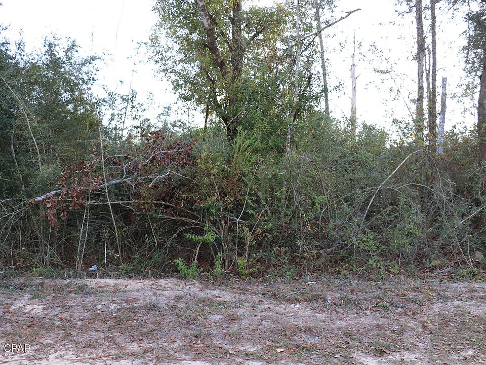 1st image of 0 Camellia St