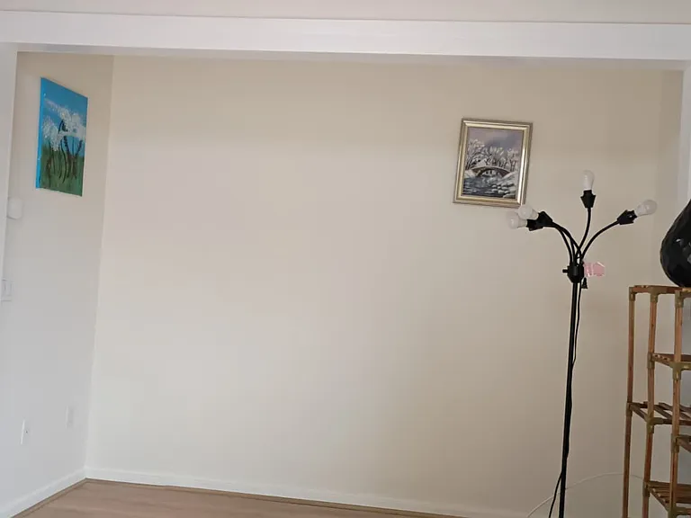 4950 Dunes Cir — Photo 6