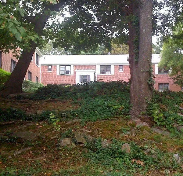 Cooper Dr — Photo 7