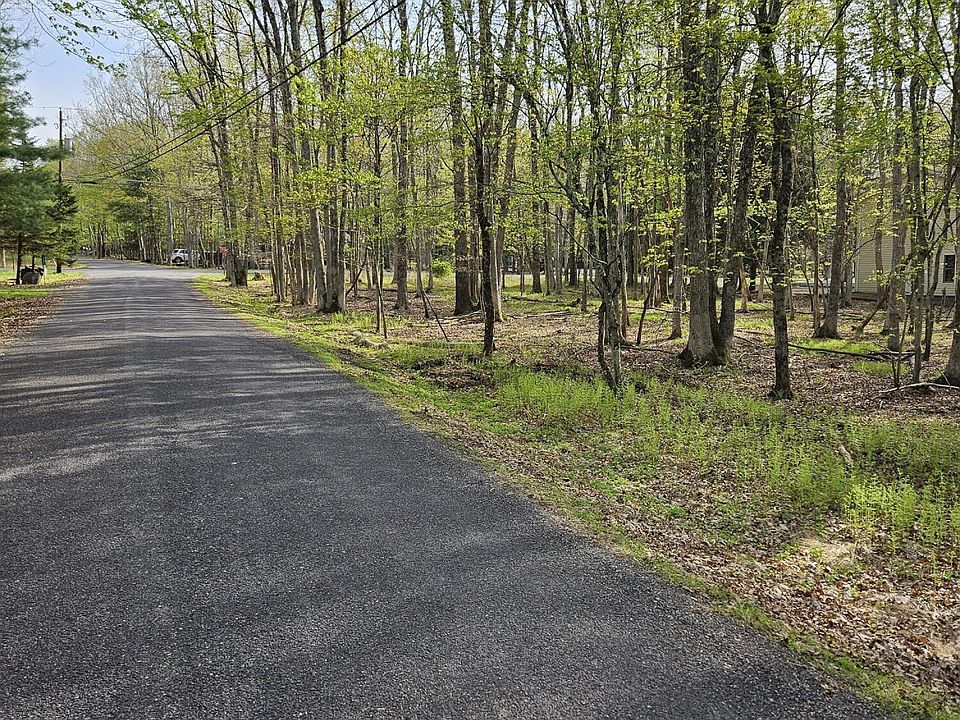 2nd image of Towamensing Trail & Whitman Ln