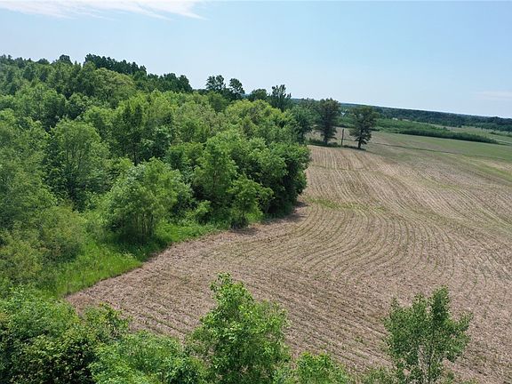 2nd image of XXX Highway 87/Bucklund Road