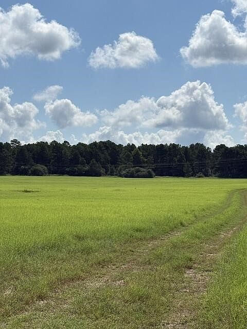 1st image of 0 An County Rd #1231