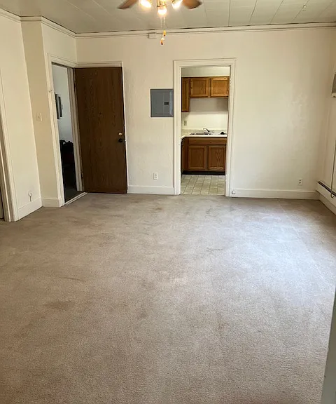 203 Campus Ave #1 — Photo 4