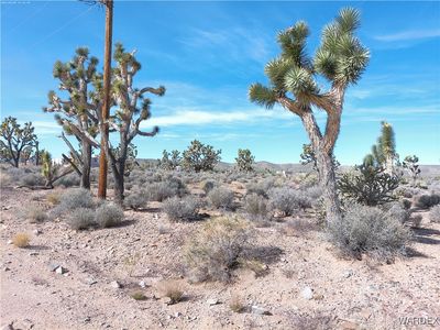 26241 N Hummingbird Ln, Meadview, AZ, 86444