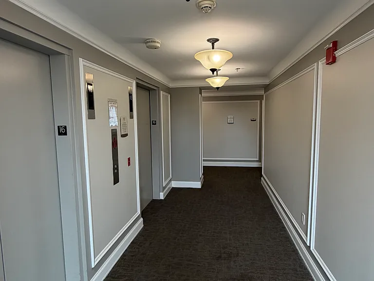 525 W Lafayette Blvd #16C — Photo 33