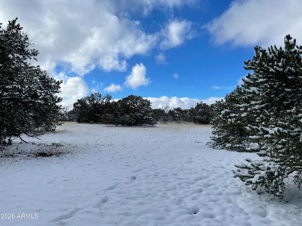 13537 BLY STATION Road #414, Williams, AZ 86046