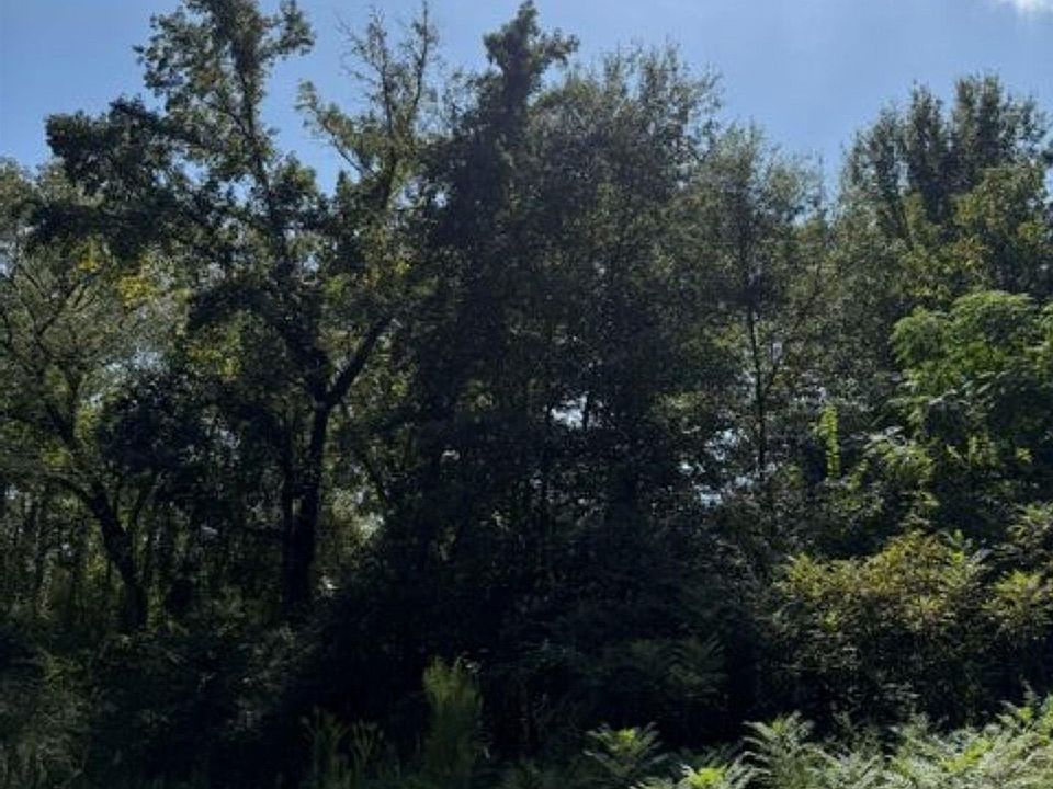 2nd image of 9152 Lakeshore Dr