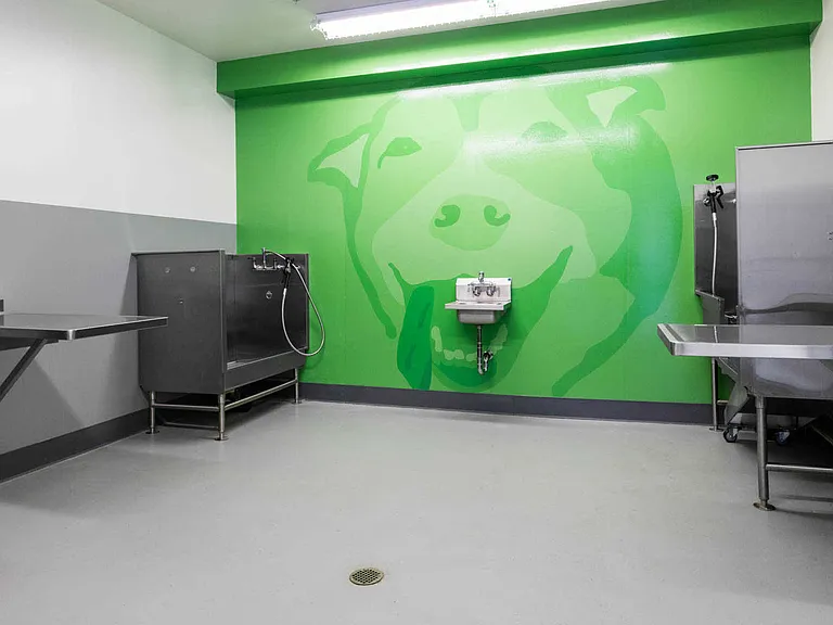 Dog Wash Station