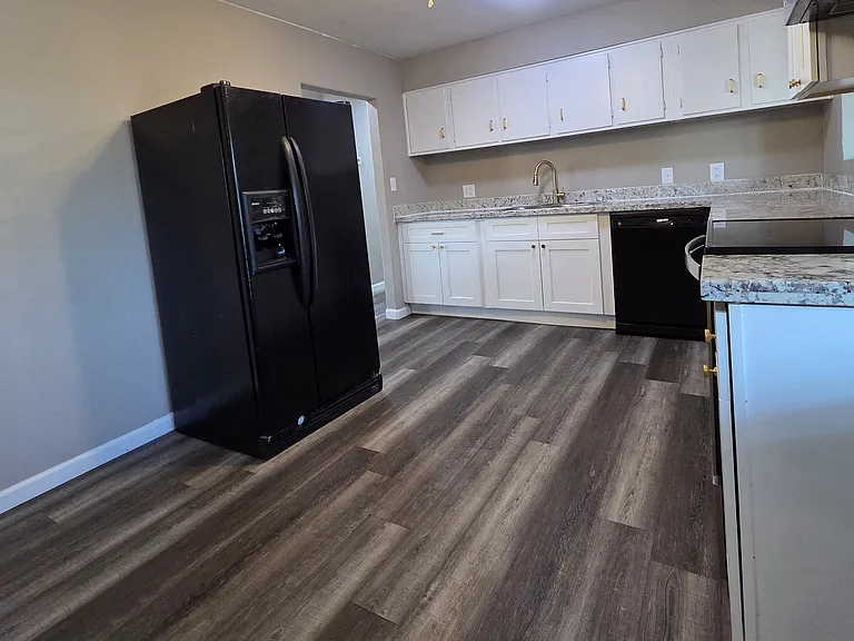 Side by side refrigerator. Lighted ceiling fan.