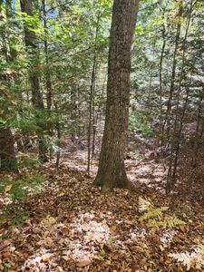 14D Thomas Hill Road, Norway, ME, 04268