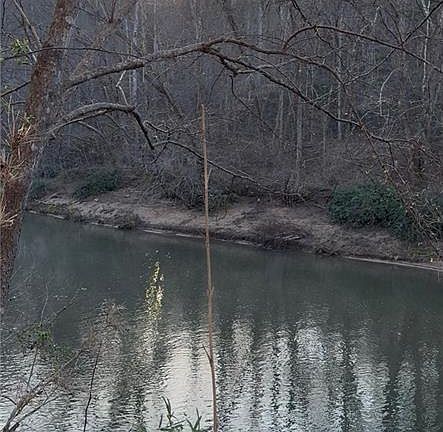 3rd image of 0 Lewis Grindle Rd Parcel 4-446