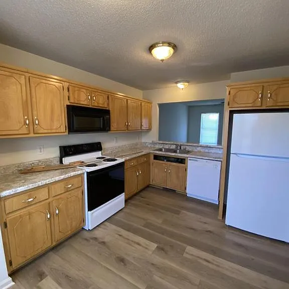 251 Tree Line Dr — Photo 4