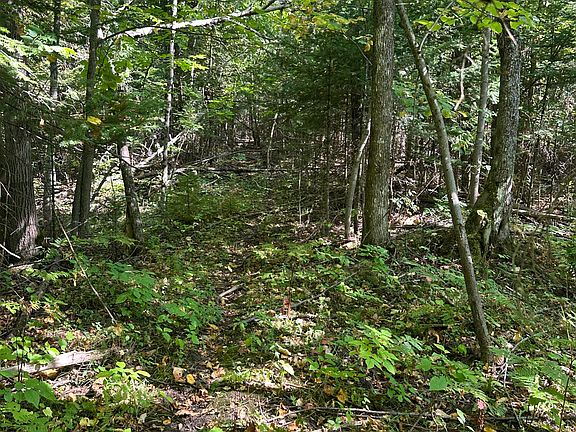 5th image of 0 Hutchinson Hwy